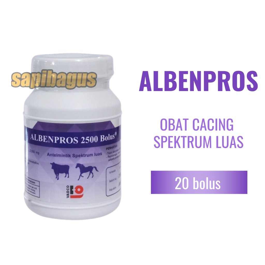 Image albenpros-bolus-Pot.jpg